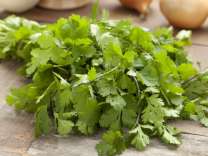 Cilantro Leaf Powder