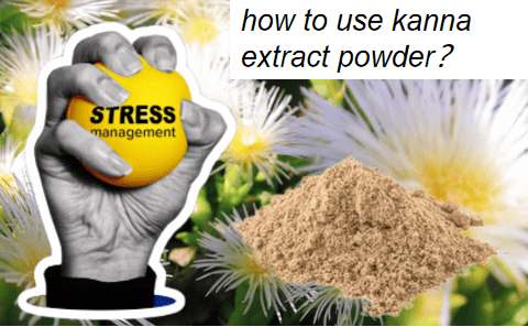 how to use kanna extract powder​？