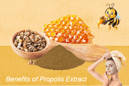 Benefits of Propolis Extract