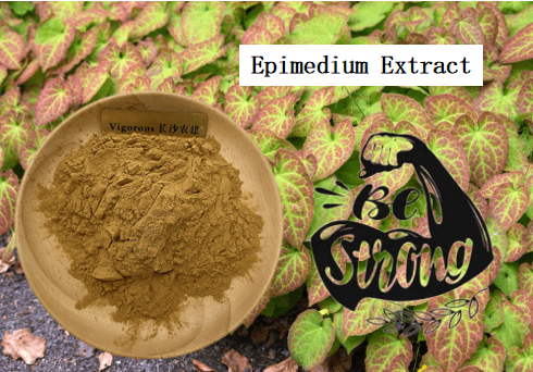 Maca Extract