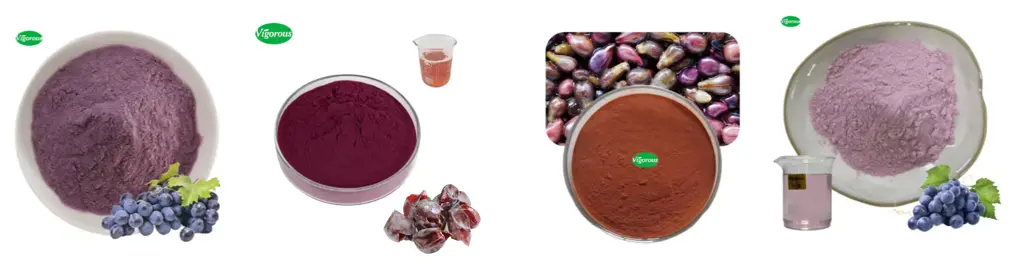 Grape Seed Extract