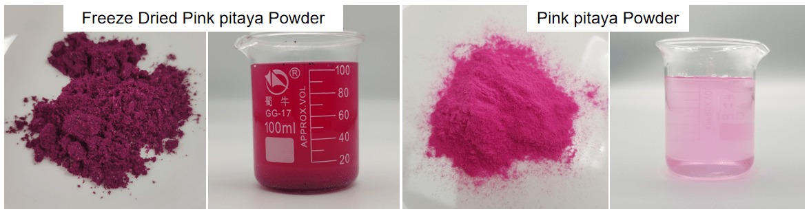 Bulk Organic Pink Pitaya Powder