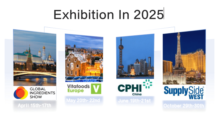 Exhibition In 2025