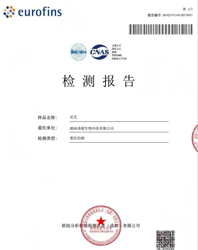 Wholesale Reishi Mushroom Extract( Factory Direct)